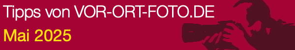 vof_header